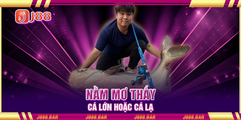 Nằm mơ thấy cá lớn hoặc cá lạ Nằm mơ thấy cá lớn hoặc cá lạ