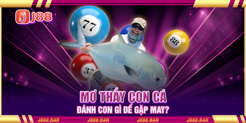 Mơ thấy con cá đánh con gì để gặp may? Mơ thấy con cá đánh con gì để gặp may?