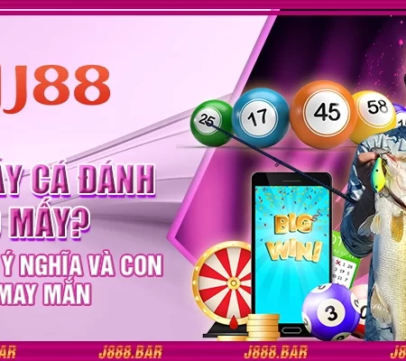 Mơ thấy cá đánh số mấy? Khám phá ý nghĩa và con số may mắn